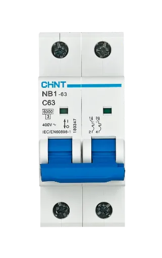 Breaker CHINT de riel 2 polo 63A 6kA®